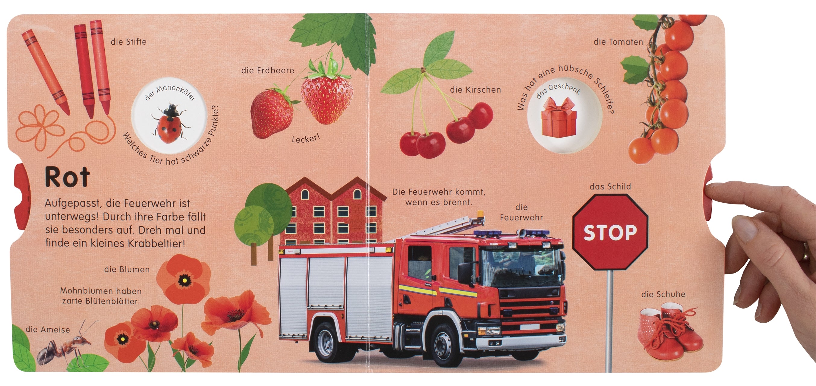 DK Verlag Dorling Kindersley 978-3-8310-4183-1 Erstes Lernen Drehen. So viele Farben (5)