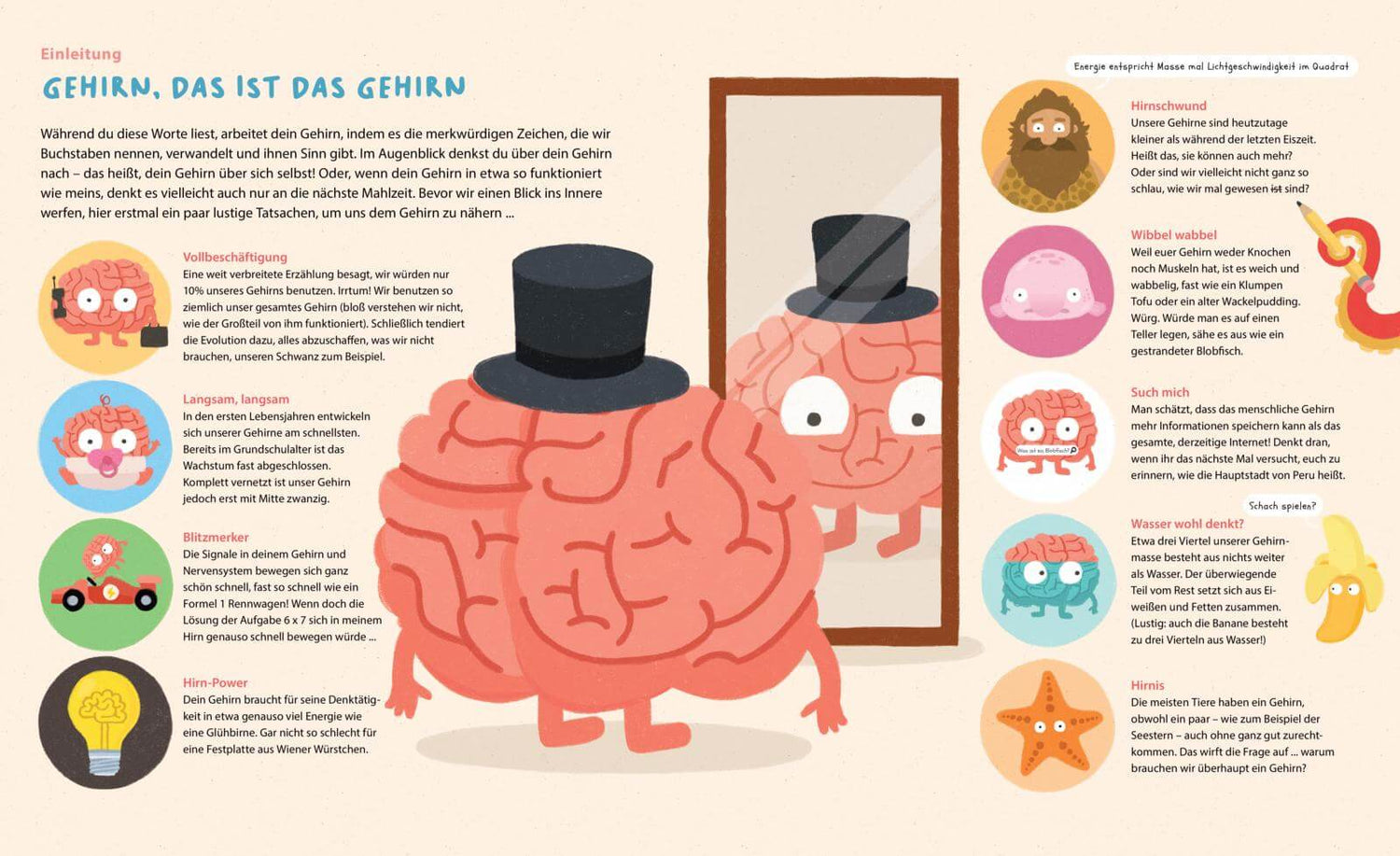  Dein geniales Gehirn Witziges Sachbilderbuch über Denken, Lernen und Er Philip Bunting 9783522307536 Gabriel in Thieneman...
