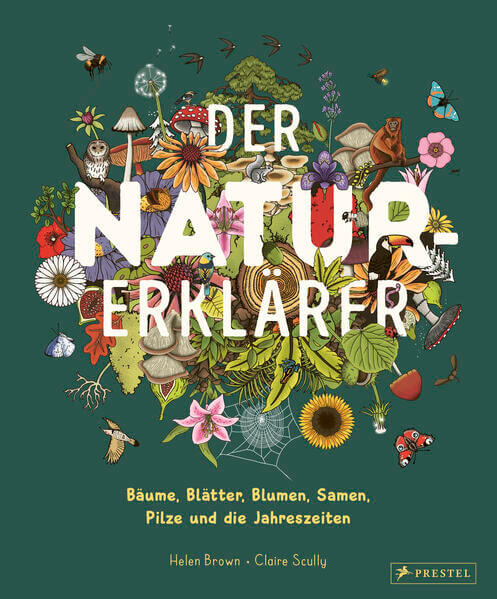  Der Natur-Erklärer Alles über Bäume, Blätter, Blumen, Samen, Pilze un Claire Scully 9783791376042 Penguin Random House Ve...