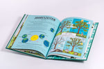  Der Natur-Erklärer Alles über Bäume, Blätter, Blumen, Samen, Pilze un Claire Scully 9783791376042 Penguin Random House Ve...
