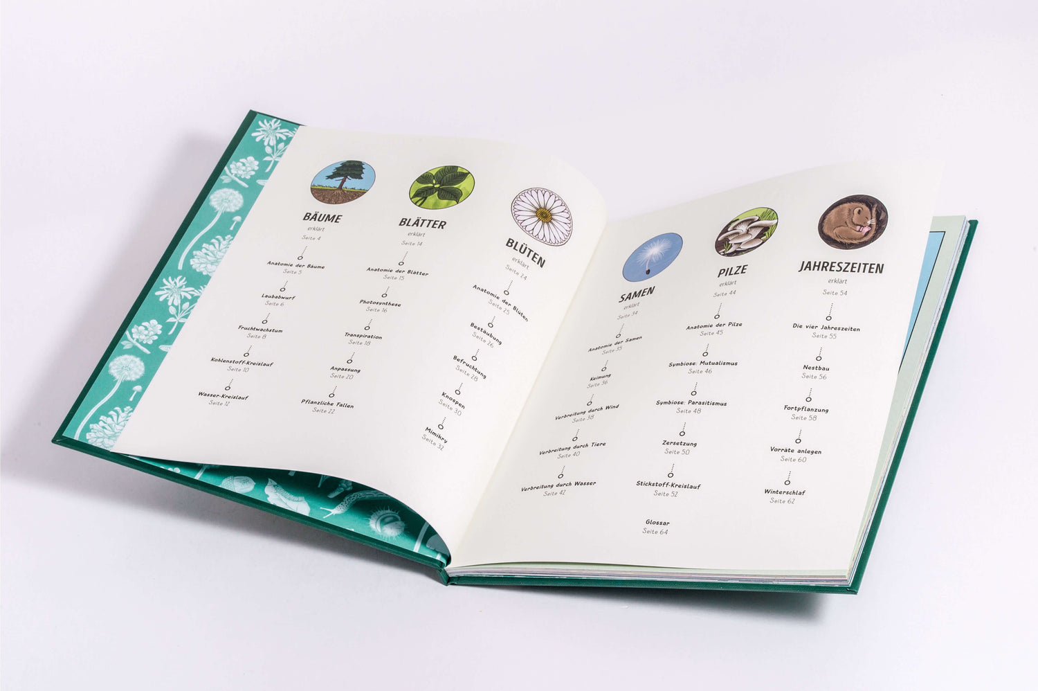  Der Natur-Erklärer Alles über Bäume, Blätter, Blumen, Samen, Pilze un Claire Scully 9783791376042 Penguin Random House Ve...