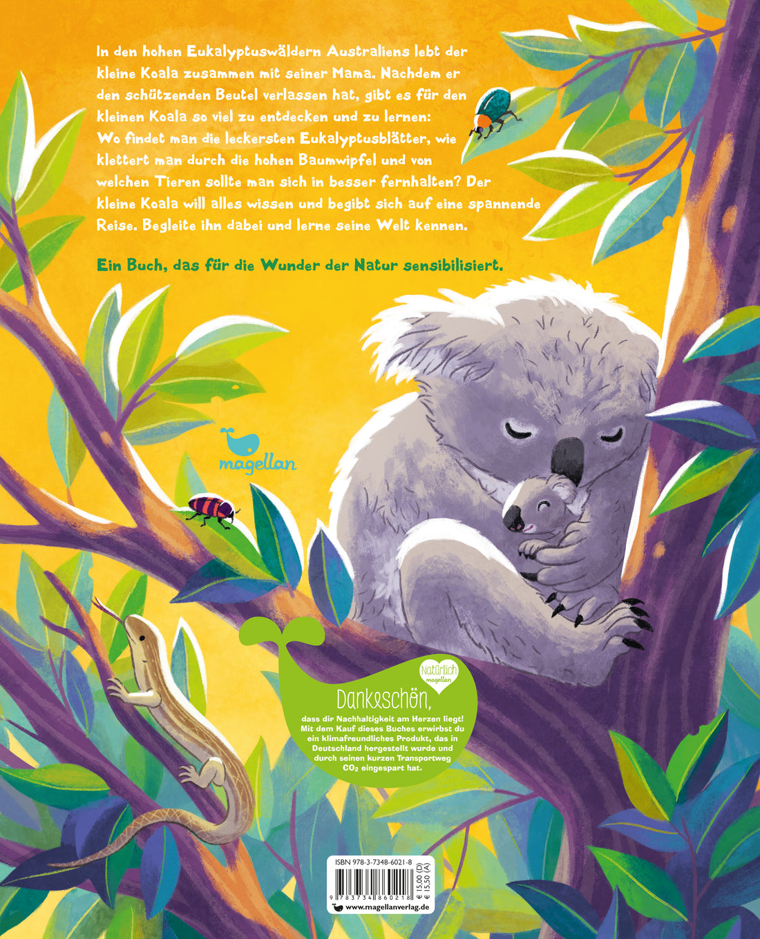  Der kleine Koala - Zu Hause im Eukalyptus Ein Sachbilderbuch für Kinder ab 4 Jahren Kristina Scharmacher-Schreiber (2)