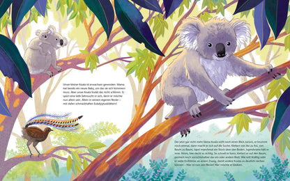  Der kleine Koala - Zu Hause im Eukalyptus Ein Sachbilderbuch für Kinder ab 4 Jahren Kristina Scharmacher-Schreiber (3)