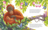  Der kleine Orang-Utan - Zu Hause im Regenwald Ein Sachbilderbuch für Kinder ab 4 Jahren Kristina Scharmacher-Schreiber (3)