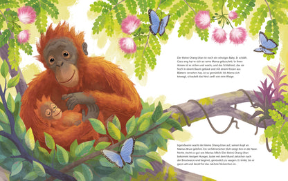  Der kleine Orang-Utan - Zu Hause im Regenwald Ein Sachbilderbuch für Kinder ab 4 Jahren Kristina Scharmacher-Schreiber (3)