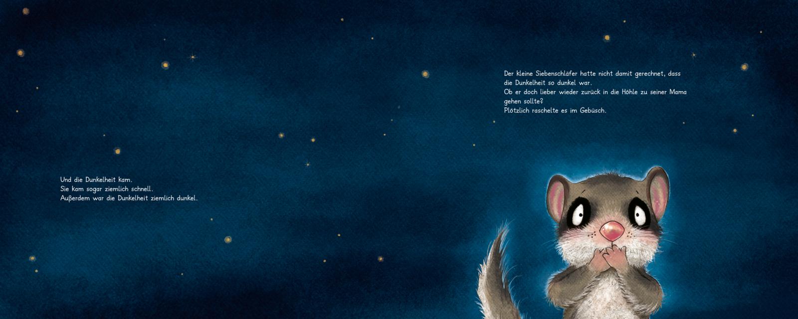  Der kleine Siebenschläfer 5: Die Geschichte vom kleinen Siebenschläfer, der überhaupt keine Angst im Sabine Bohlmann (3)