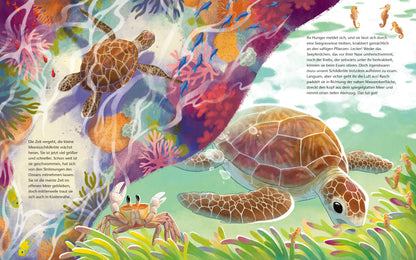  Die kleine Schildkröte - Zu Hause im Meer Bilderbuch mit erstem Sachwissen für Kinder ab 4 J Kristina Scharmacher-Schreib...