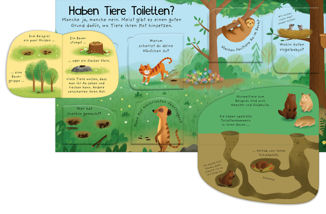 Erstes Aufklappen und Verstehen: Alle müssen mal, und dann? Was passiert mit dem großen Geschäft? – kindgerech 9781035703...