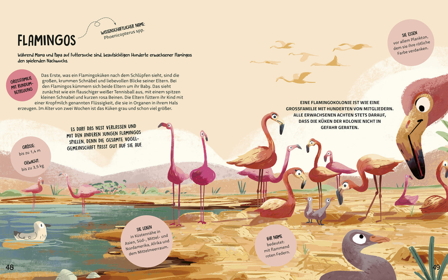  Familien im Tierreich Ein Sachbuch für Kinder ab 6 Jahren über Familiens  Tecnoscienza 9783734860867 Magellan GmbH &amp; Co. ...