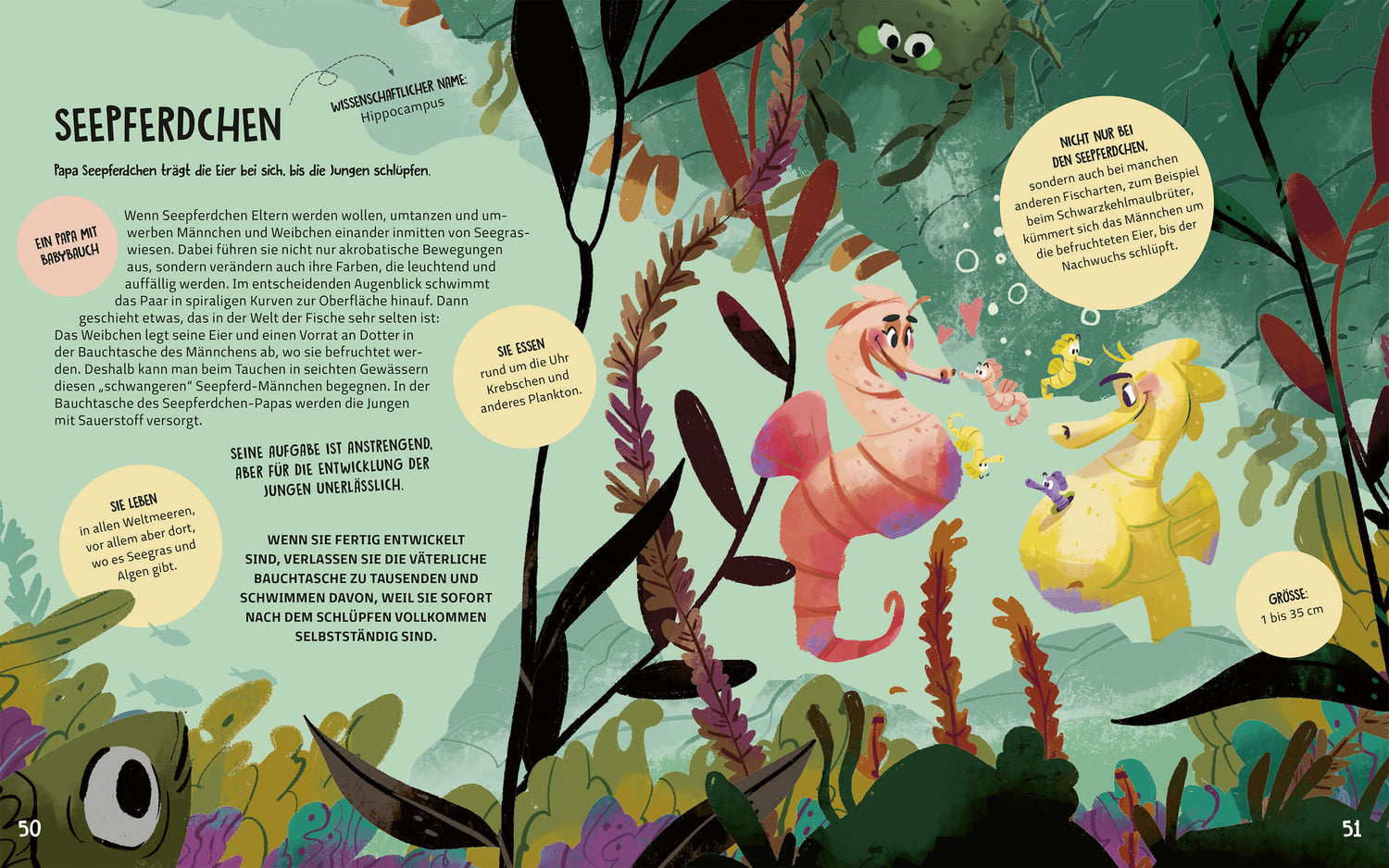  Familien im Tierreich Ein Sachbuch für Kinder ab 6 Jahren über Familiens  Tecnoscienza 9783734860867 Magellan GmbH &amp; Co. ...
