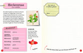  Flora & Leo. Mein erstes Herbarium Christine Schreier 9783968080093 Sophie Verlag GmbH (11)