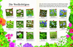  Flora & Leo. Mein erstes Herbarium Christine Schreier 9783968080093 Sophie Verlag GmbH (16)