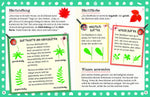  Flora & Leo. Mein erstes Herbarium Christine Schreier 9783968080093 Sophie Verlag GmbH (8)