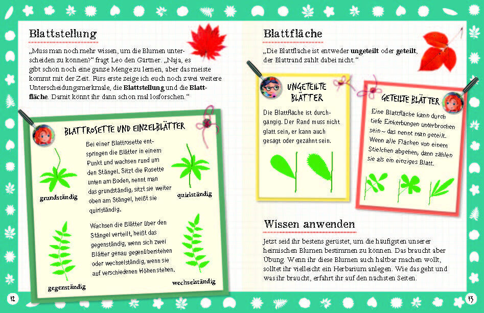  Flora &amp; Leo. Mein erstes Herbarium Christine Schreier 9783968080093 Sophie Verlag GmbH (8)