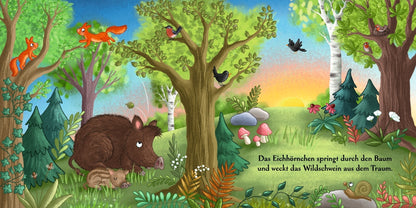 Friedrich Oetinger GmbH 9783751205498 Es wird Tag hier im Wald (3)