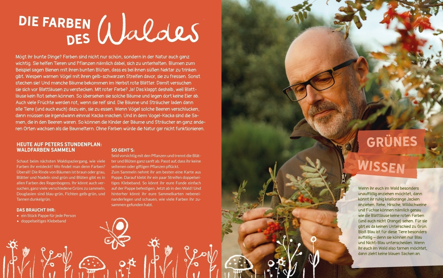 Friedrich Oetinger GmbH 9783751206532 Peter Wohllebens Schule des Waldes Was der Wald uns übers Leben lehrt (3)