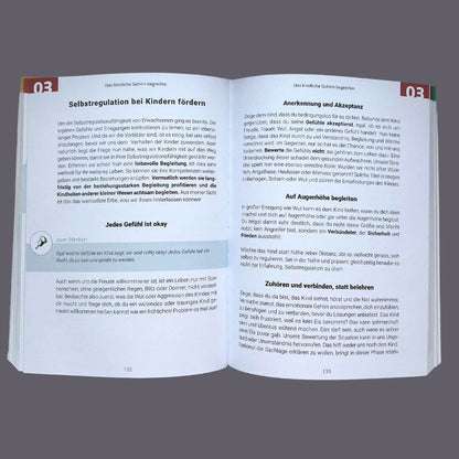  Gemeinsam durch die Wut Wie ein achtsamer Umgang mit kindlichen Aggression Kathrin Hohmann 9783982264301 Edition Claus (3)
