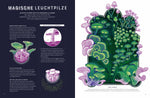  Glow – Das wundersame Leuchten der Natur Das Phänomen der Biolumineszenz mit wunderschönen  Jennifer N.R. Smith 978357018...