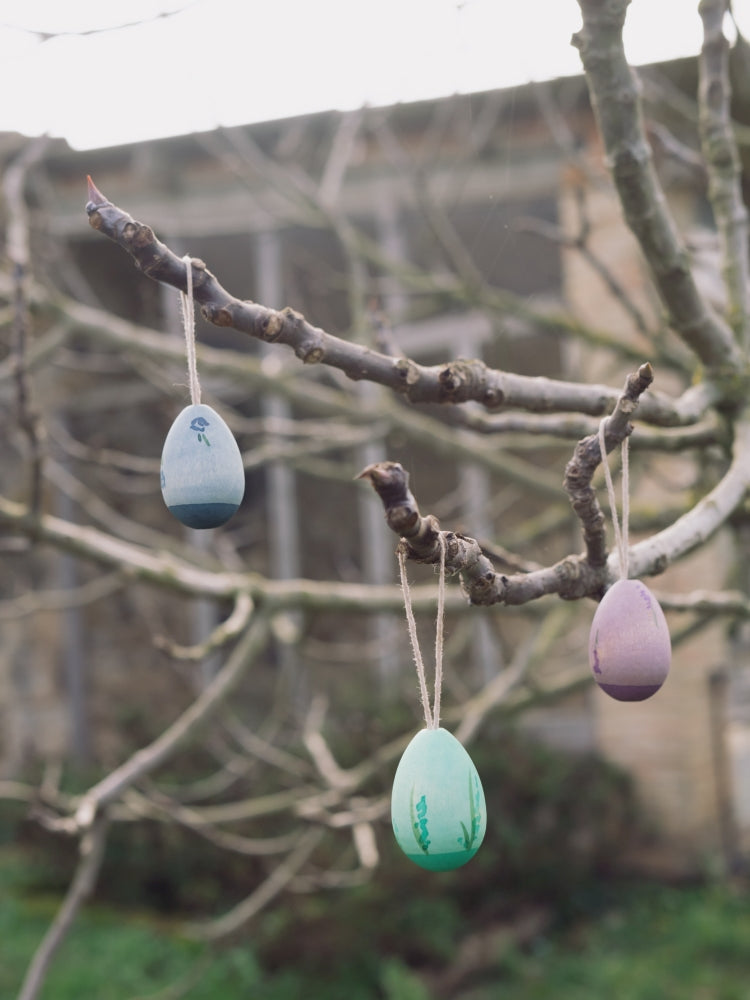Grapat Aurora Eggs