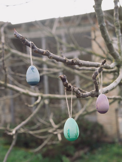 Grapat Aurora Eggs