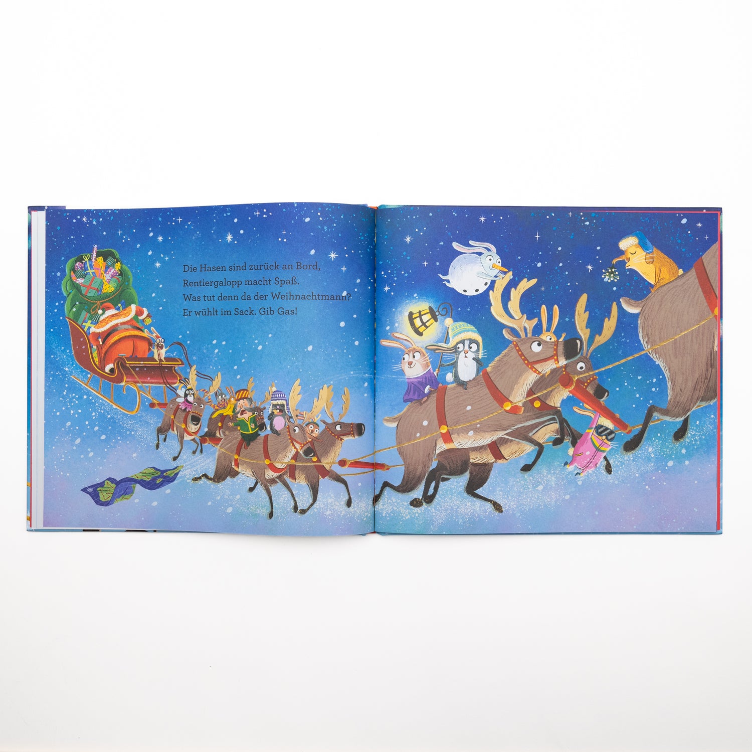  Hasen rasen mit dem Schlitten Chaotische Weihnachten zum Vorlesen, Entdecken und Philip Ardagh 9783748802754 (3)