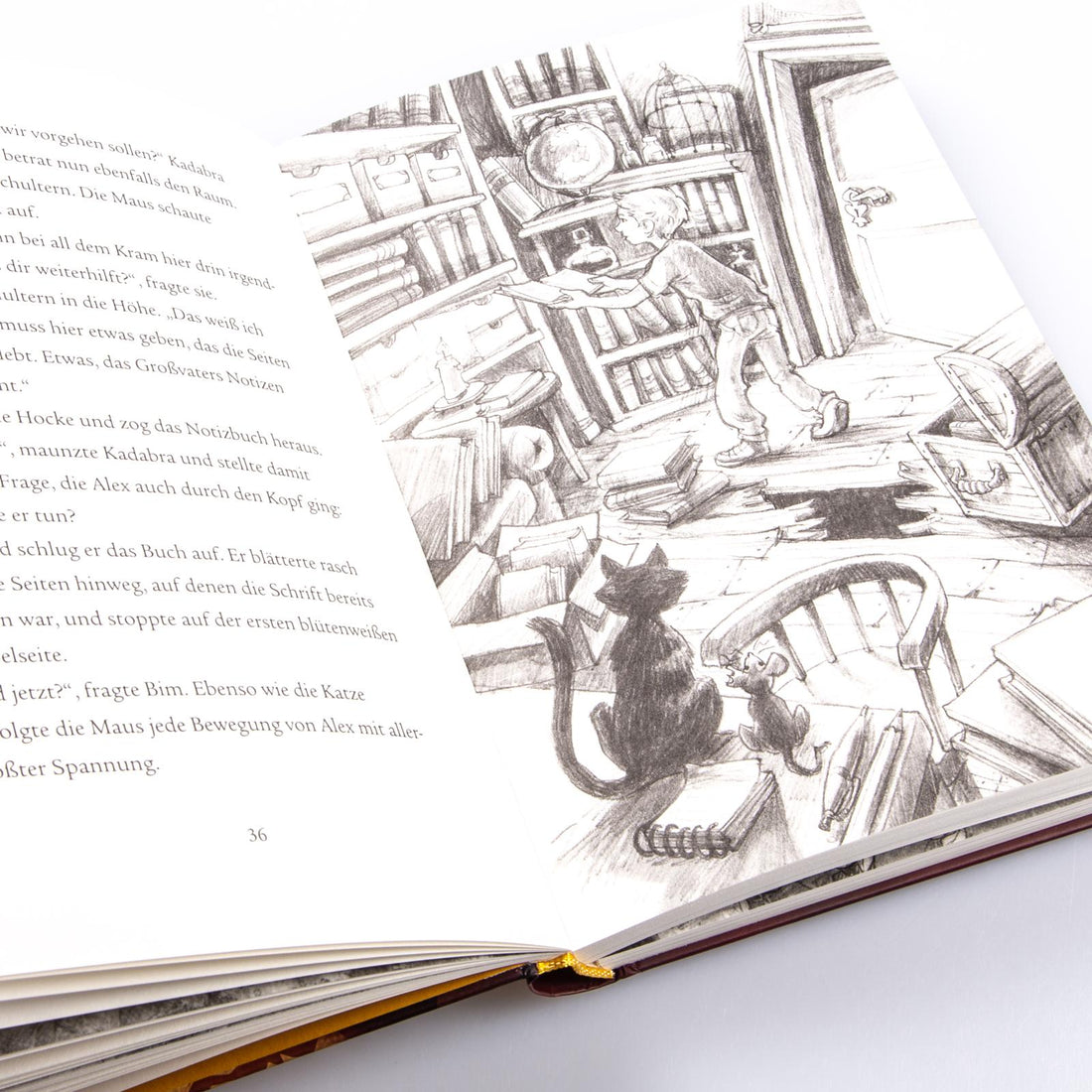 Im Zeichen der Zauberkugel 4: Das Geheimnis des Drachen Stefan Gemmel 9783551651167 Carlsen Verlag GmbH (2)