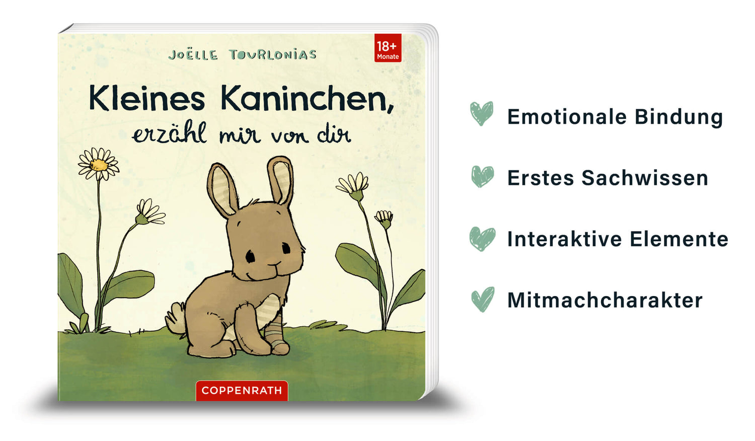  Kleines Kaninchen, erzähl mir von dir Liebling Joëlle Tourlonias 9783649649274 Coppenrath Verlag GmbH &amp; Co. KG (6)