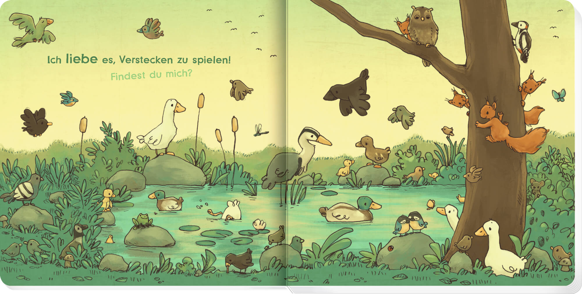  Kleines Küken, erzähl mir von dir Liebling Joëlle Tourlonias 9783649649281 Coppenrath Verlag GmbH &amp; Co. KG (8)