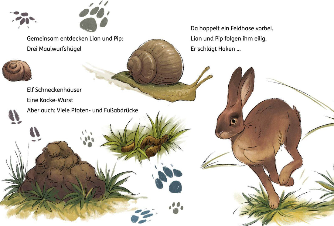  Lian, die Tierdetektivin 2: Wo ist Blob? Simone Veenstra 9783551691101 Carlsen Verlag GmbH (2)