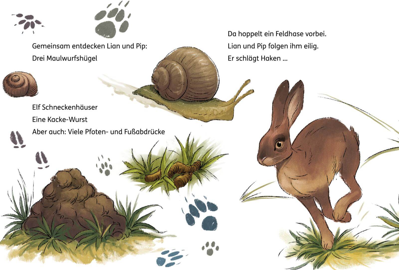  Lian, die Tierdetektivin 2: Wo ist Blob? Simone Veenstra 9783551691101 Carlsen Verlag GmbH (2)