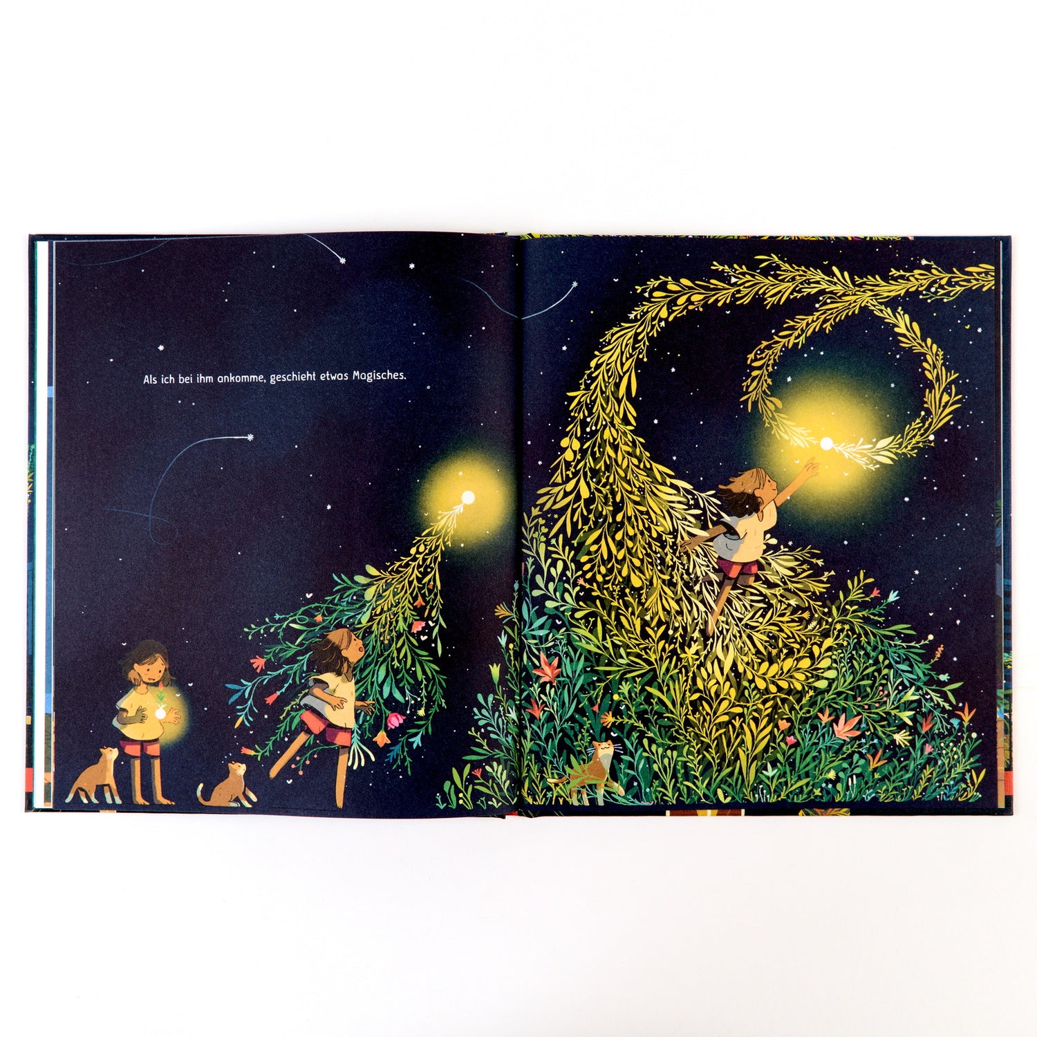  Mein Komet Vierfarbiges Bilderbuch. Umschlag in Feinleinen-Ha Joe Todd-Stanton 9783407759214 Verlagsgruppe Beltz (4)