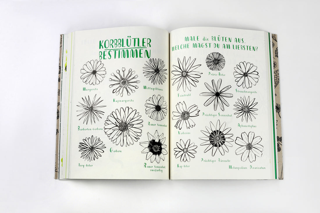 Mein Naturbuch überarb. Neuauflage Entdecken, erforschen und gestalten... Nina Chakrabarti 9783962442965 Laurence King Ve...