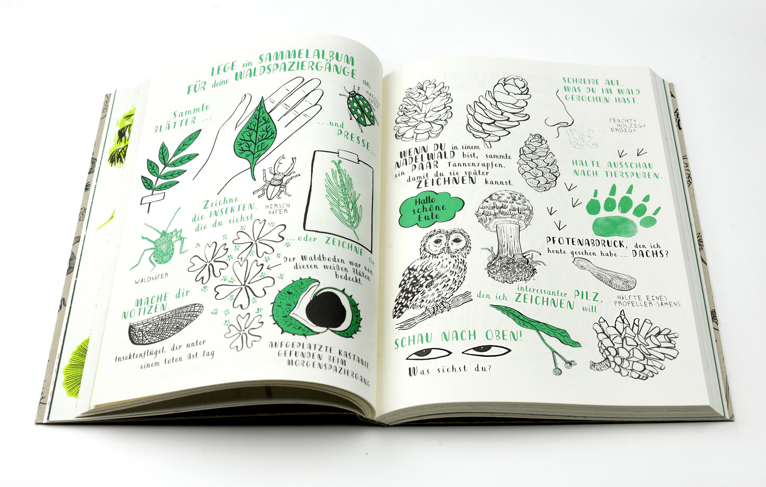  Mein Naturbuch überarb. Neuauflage Entdecken, erforschen und gestalten... Nina Chakrabarti 9783962442965 Laurence King Ve...