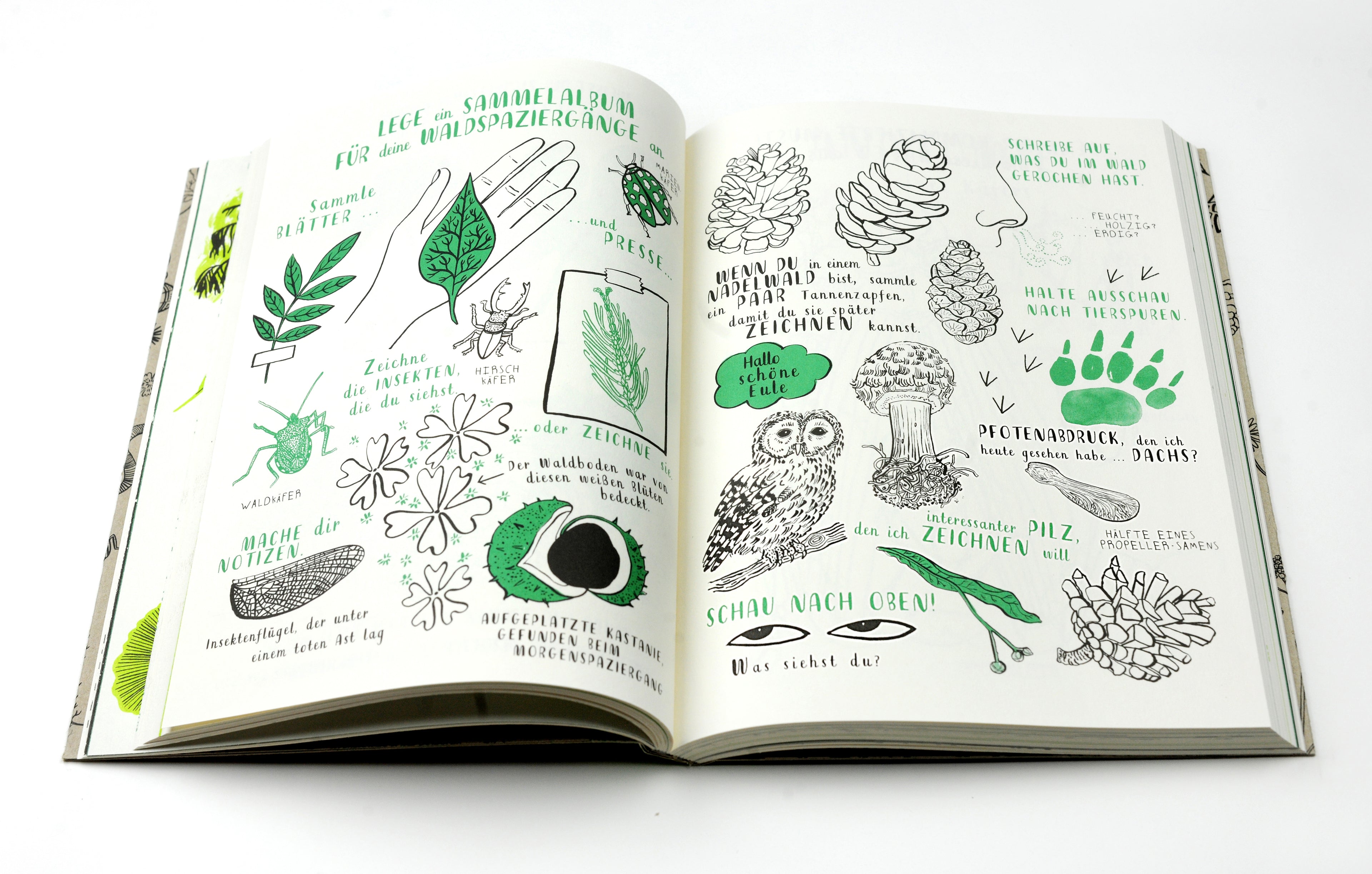  Mein Naturbuch überarb. Neuauflage Entdecken, erforschen und gestalten... Nina Chakrabarti 9783962442965 Laurence King Ve...