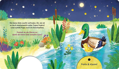  Mein Puste-Licht-Buch: Schlaf schön, kleiner Schatz! Mit Puste-Licht und LED-Lämpchen Madlen Ottenschläger 9783480240944 ...