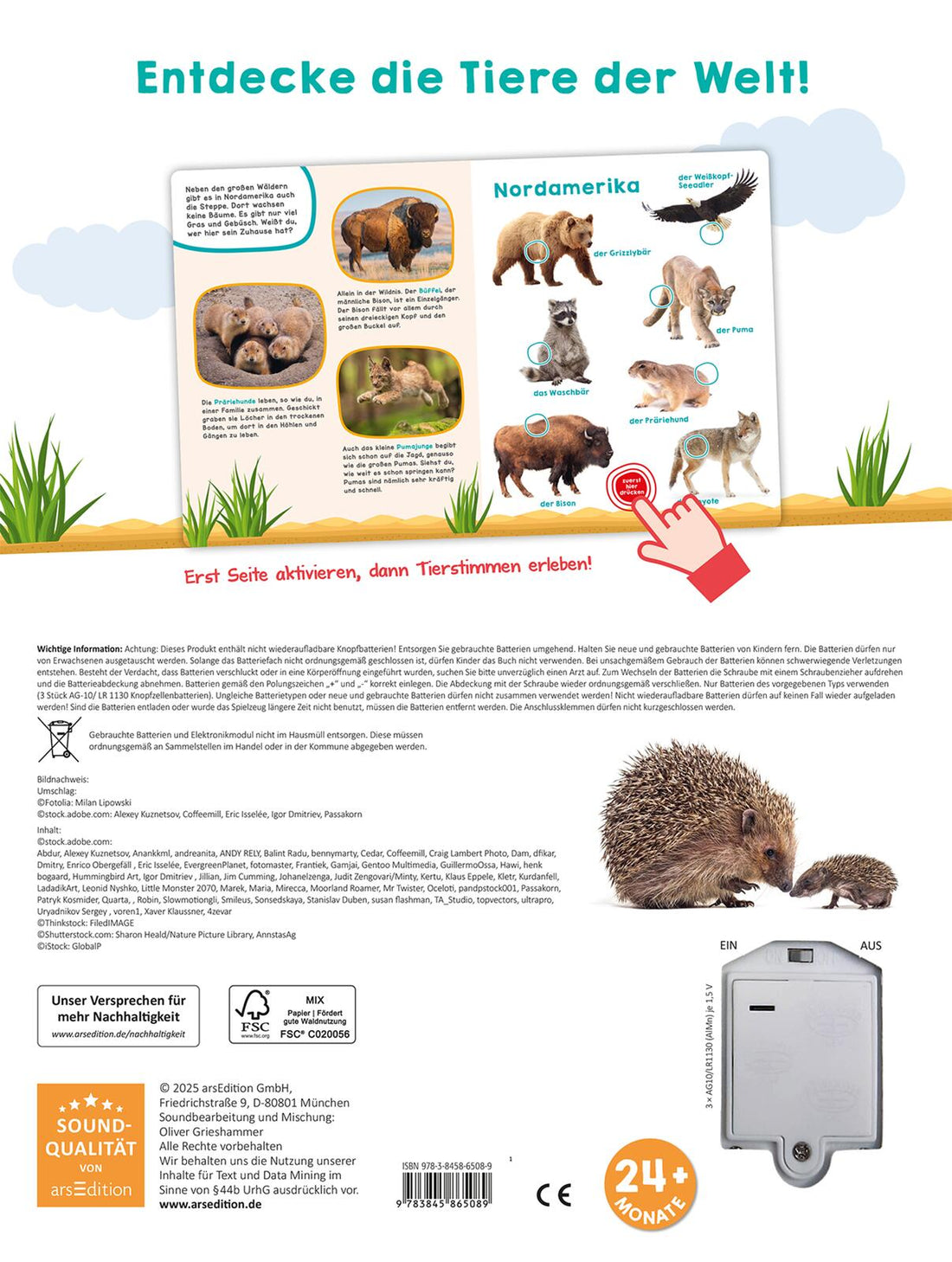  Mein großes Geräuschebuch – Tiere der Welt Mit 49 Sounds 9783845865089 ArsEdition GmbH (2)