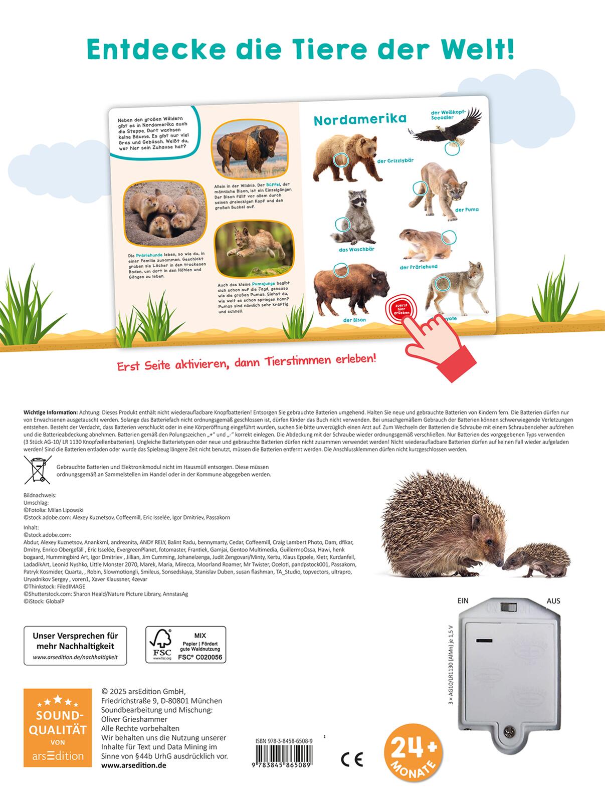  Mein großes Geräuschebuch – Tiere der Welt Mit 49 Sounds 9783845865089 ArsEdition GmbH (2)