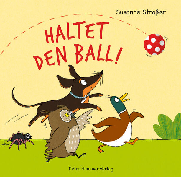 Peter Hammer Verlag 9783779507437 Haltet den Ball! Alle wollen mit dem Ball spielen - doch wo fliegt  (1)