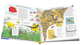 Ravensburger Verlag  978-3-473-32969-4 Wieso? Weshalb? Warum?, Band 39: Wir entdecken Insekten (5)