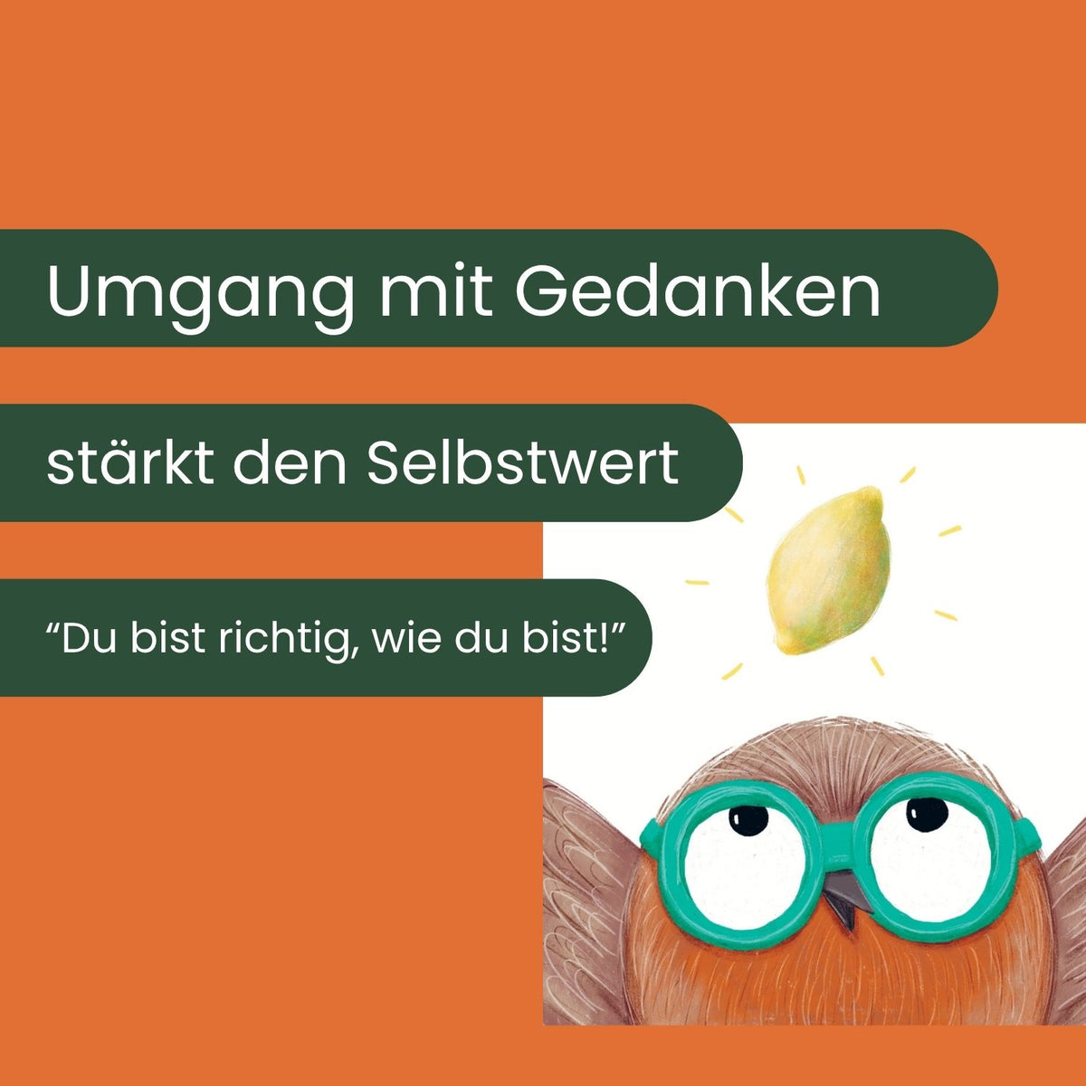 Was denkst du Rotkehlchen Informationen