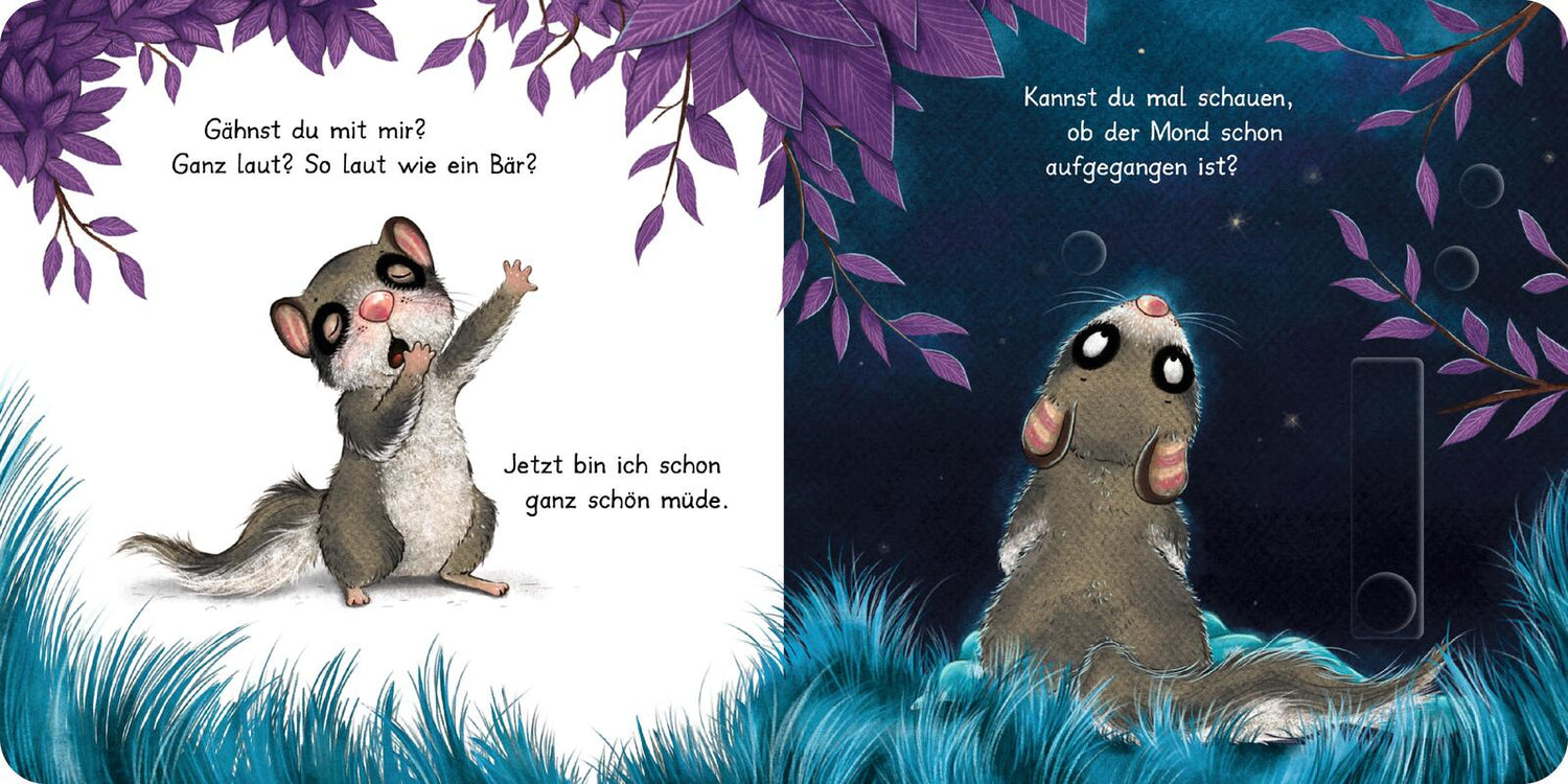 Thienemann - Esslinger  9783522460637 Der kleine Siebenschläfer: Bringst du mich ins Bett? (3)