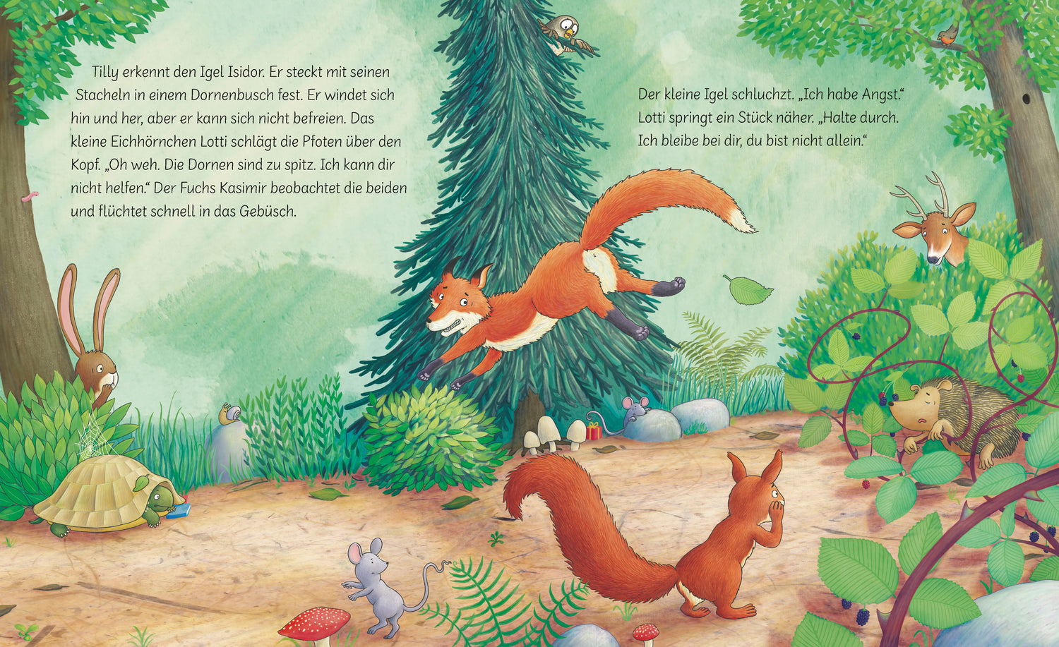  Trau dich, Tilly! Ein Bilderbuch ab 3 Jahren über eine kleine Schild Rebecca Martin 9783765550027 BRUNNEN VERLAG GmbH (3)