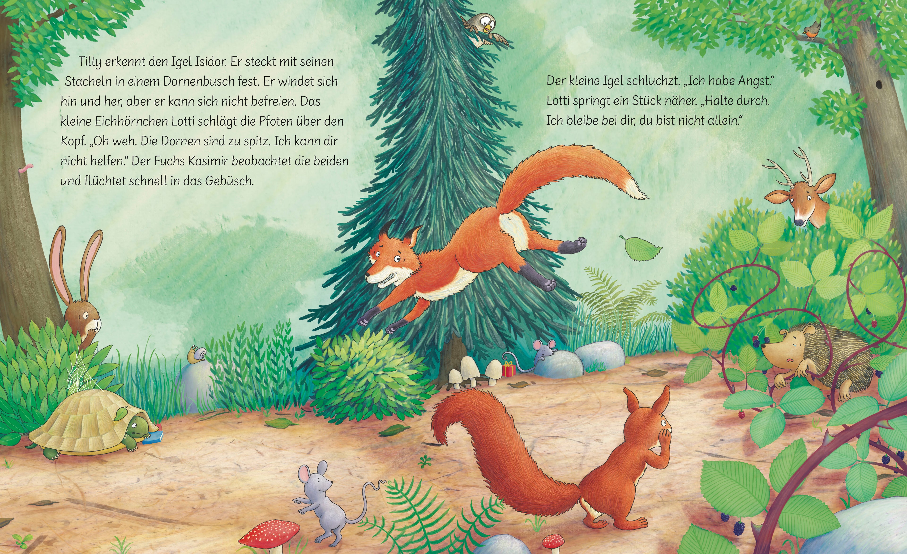  Trau dich, Tilly! Ein Bilderbuch ab 3 Jahren über eine kleine Schild Rebecca Martin 9783765550027 BRUNNEN VERLAG GmbH (3)
