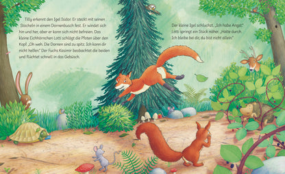  Trau dich, Tilly! Ein Bilderbuch ab 3 Jahren über eine kleine Schild Rebecca Martin 9783765550027 BRUNNEN VERLAG GmbH (3)