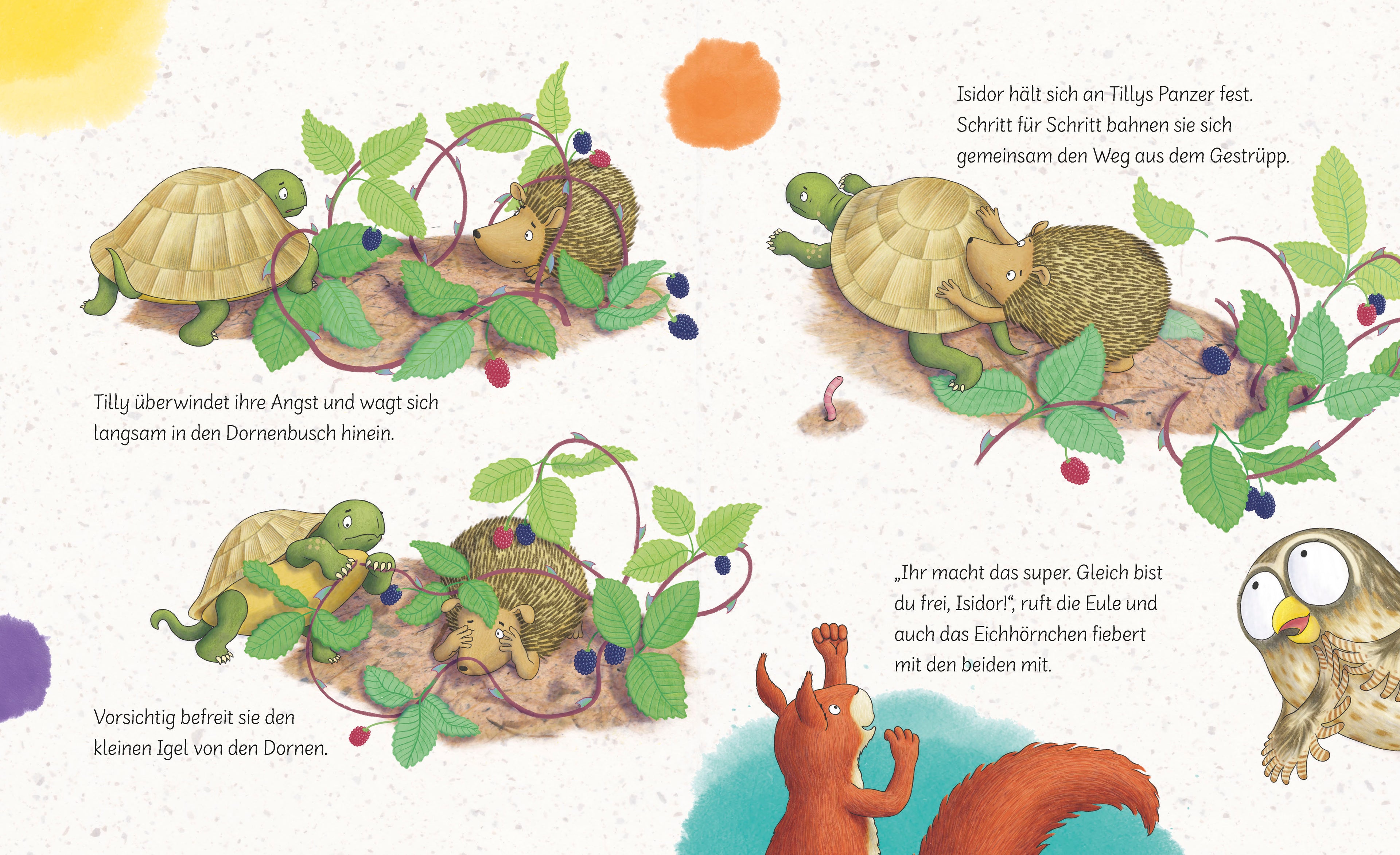  Trau dich, Tilly! Ein Bilderbuch ab 3 Jahren über eine kleine Schild Rebecca Martin 9783765550027 BRUNNEN VERLAG GmbH (4)