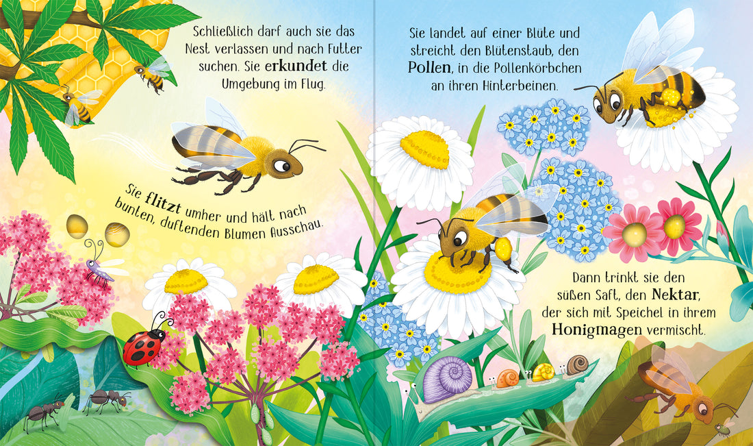 Usborne im dtv 978-1-0357-0326-5 Schau mal, wie ich wachse! Von der Larve zur Biene (2)