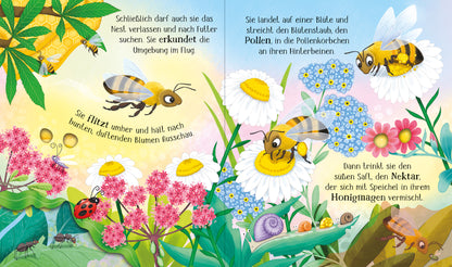 Usborne im dtv 978-1-0357-0326-5 Schau mal, wie ich wachse! Von der Larve zur Biene (2)