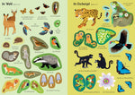 Usborne im dtv 978-1-0357-0332-6 Mein Immer-wieder-Stickerbuch: Tiere der Welt (3)