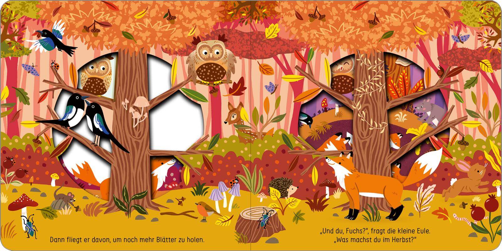  Was macht die Eule im Herbst? Johnny Barr 9783845867724 ArsEdition GmbH (5)