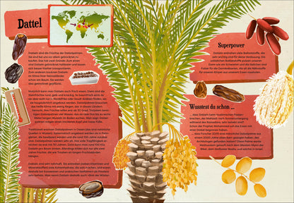  Weißt du, wo der Pfeffer wächst? – Erstaunliches Wissen von Ananas bis Zimt Jonna Struwe 9783423765909 dtv Verlagsgesells...